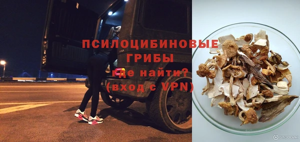 метадон Лагань